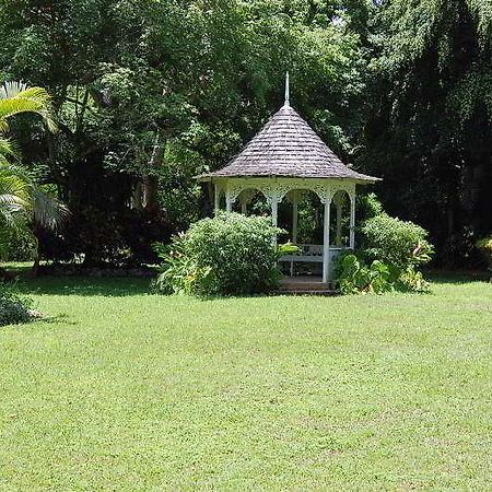 Inn At Shaw Park Gardens & Waterfalls Ocho Rios Buitenkant foto