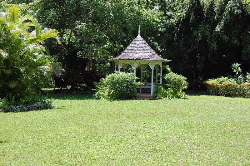 Inn At Shaw Park Gardens & Waterfalls Ocho Rios Buitenkant foto