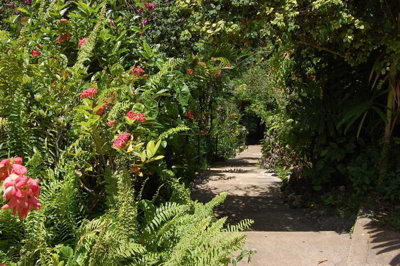 Inn At Shaw Park Gardens & Waterfalls Ocho Rios Buitenkant foto