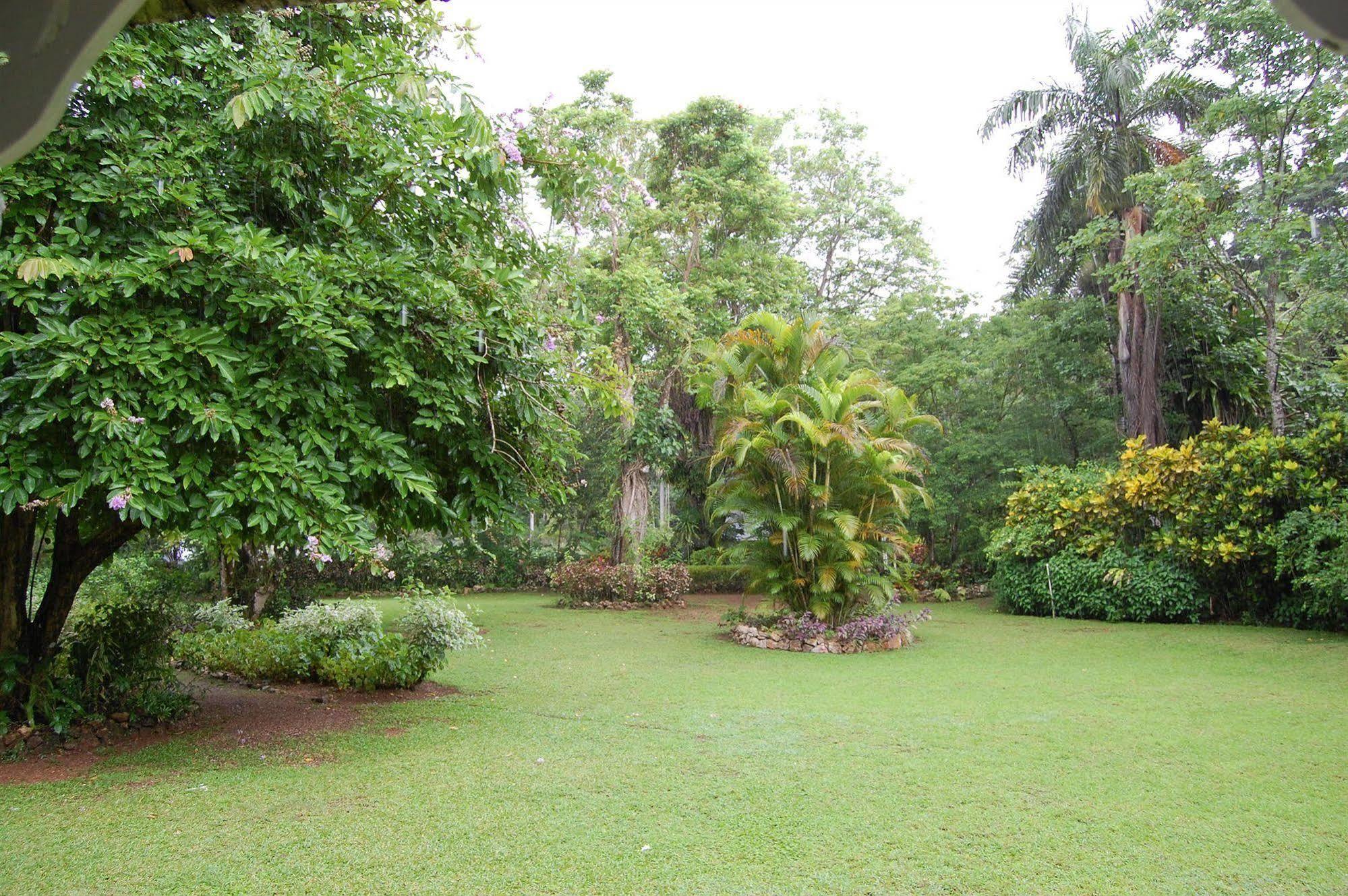 Inn At Shaw Park Gardens & Waterfalls Ocho Rios Buitenkant foto