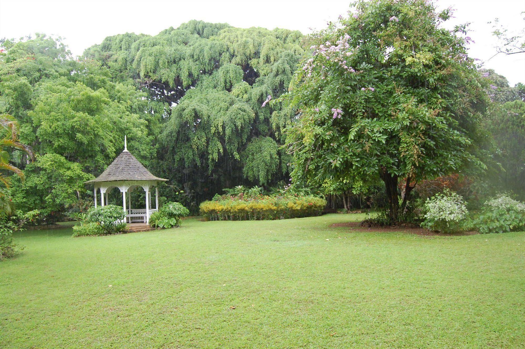 Inn At Shaw Park Gardens & Waterfalls Ocho Rios Buitenkant foto