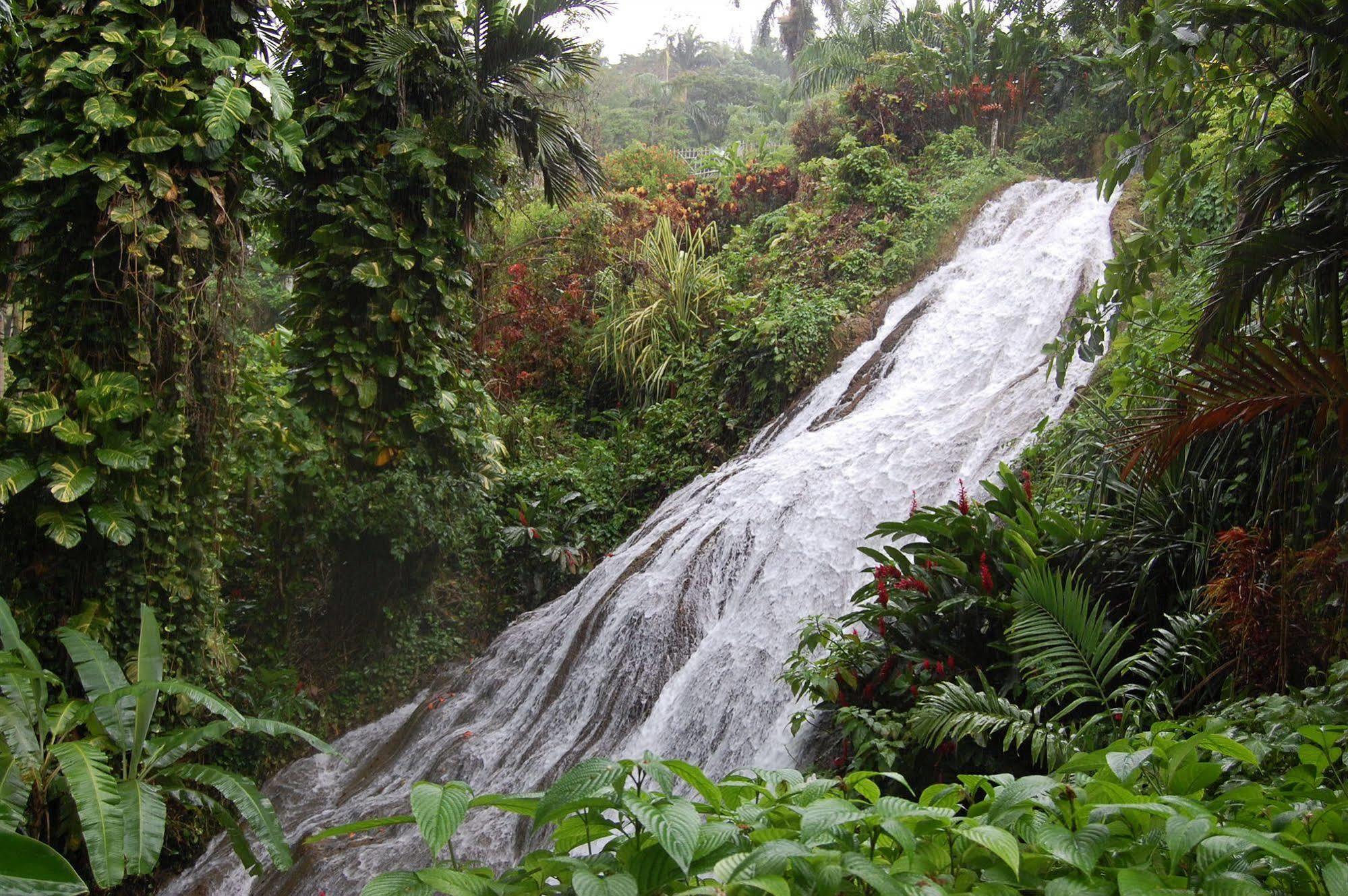 Inn At Shaw Park Gardens & Waterfalls Ocho Rios Buitenkant foto