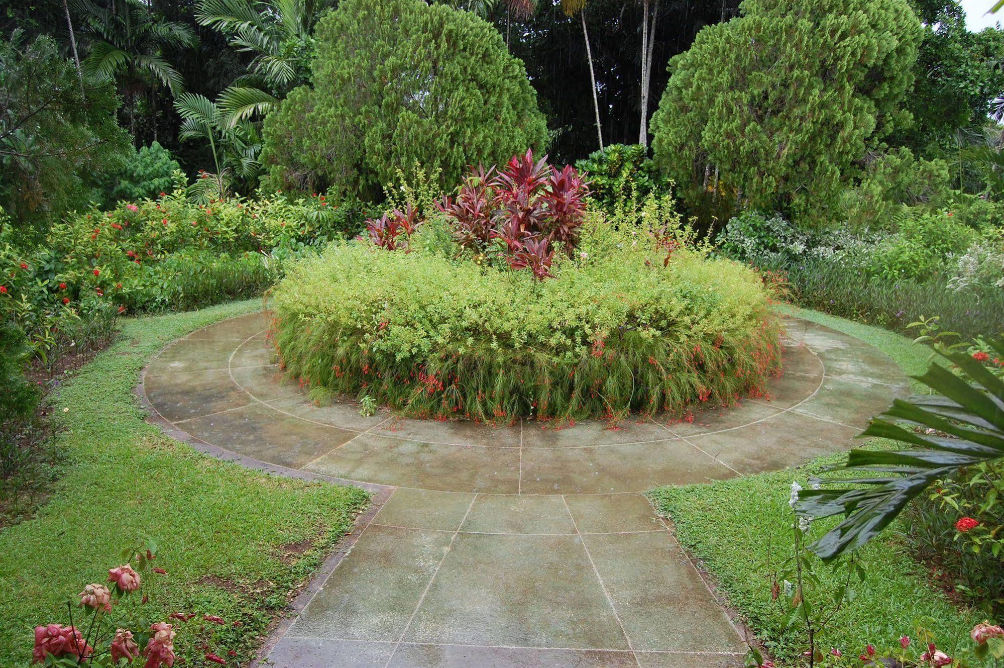 Inn At Shaw Park Gardens & Waterfalls Ocho Rios Buitenkant foto